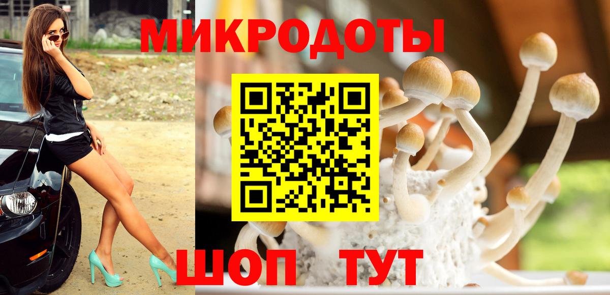 Псилоцибиновые грибы MAGIC MUSHROOMS  Псилоцибиновые грибы MAGIC MUSHROOMS  Буйнакск  Вход с VPN 