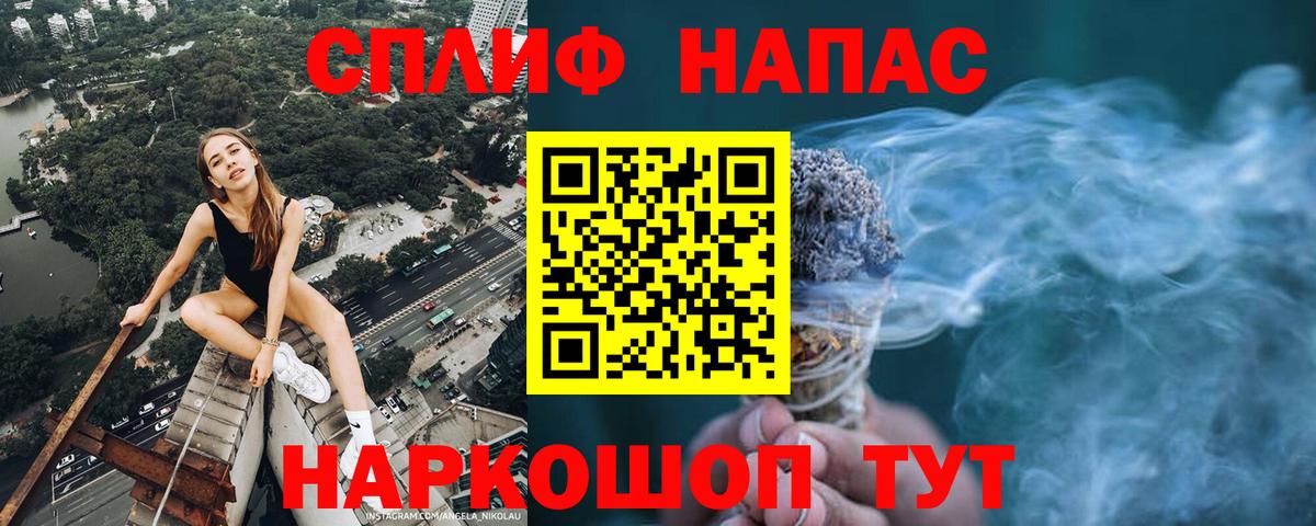 Бошки Шишки планчик Буйнакск